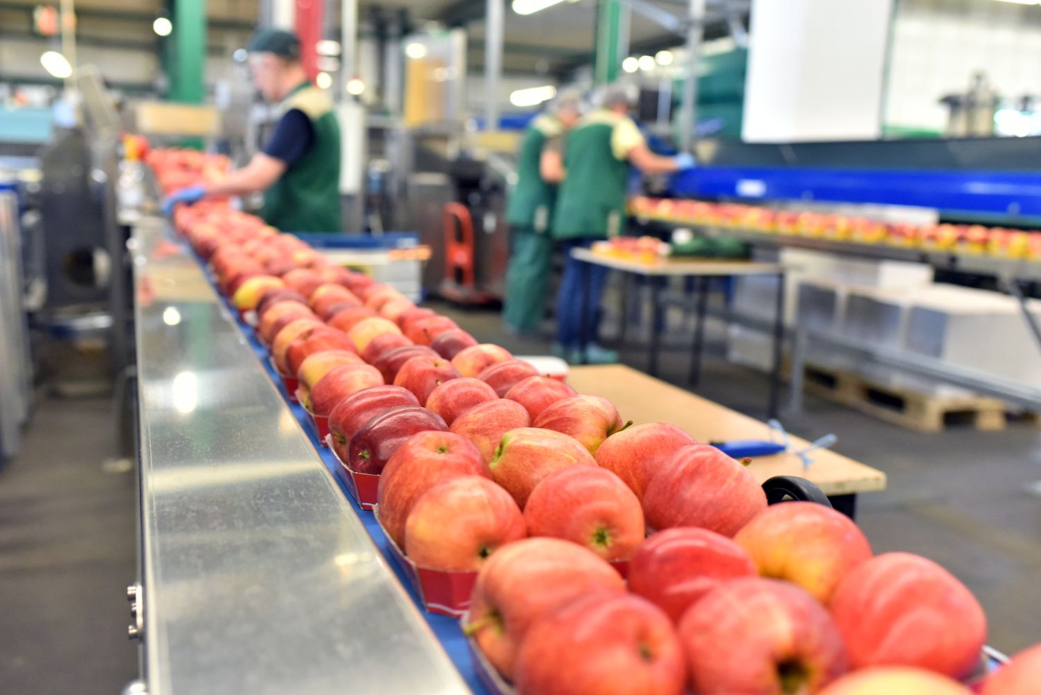 Food logistics, contract logistics
