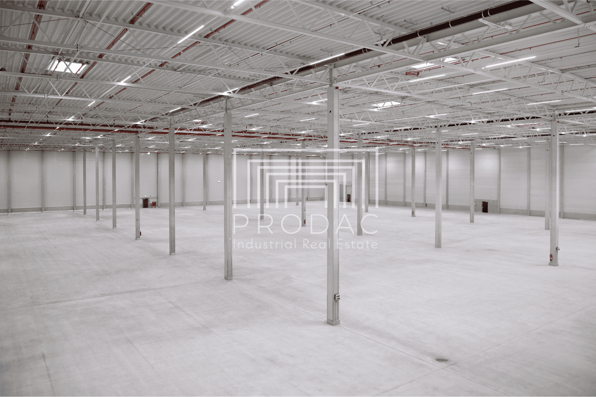 Sofort verfügbar / Neubau WGK Lager- und Logistikflächen / teilbar ab 10.000 qm - Bild 3 - PRODAC Industrial Real Estate GmbH