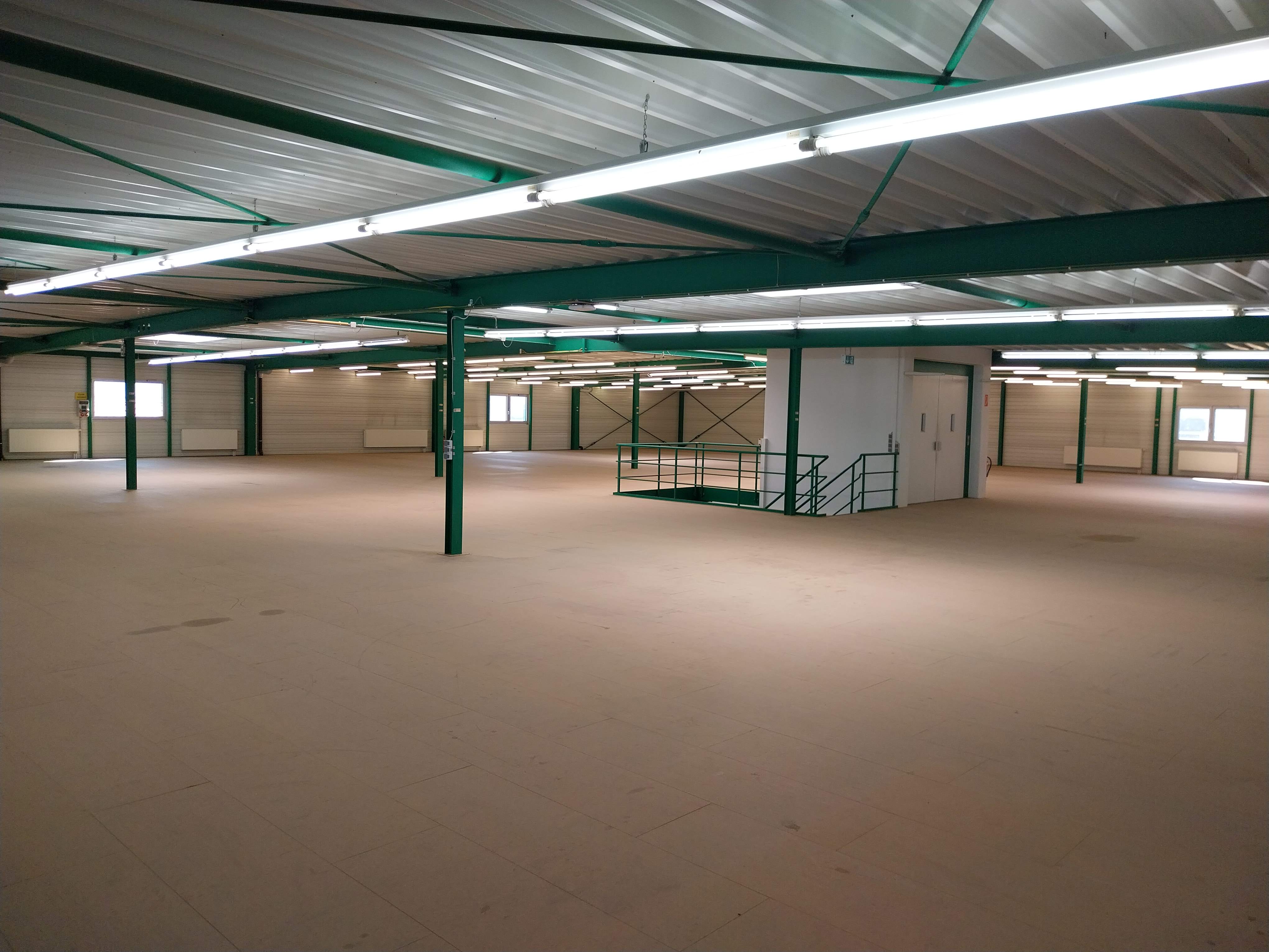 Moderne Lagerhalle, Bj.2004,2000m², 2- geschossig mit Aufzug, Rolltor und Schleuse für Be-Entladung - Bild 8 - Nic Grundstücksverwaltung GmbH&Co.KG