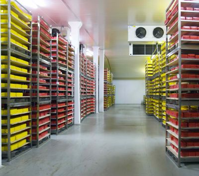 Kühllager, Lagerlogistik Kühllagerlogistik, Lagerung Kühllagerlogistik Warehouse, logistikbranchen