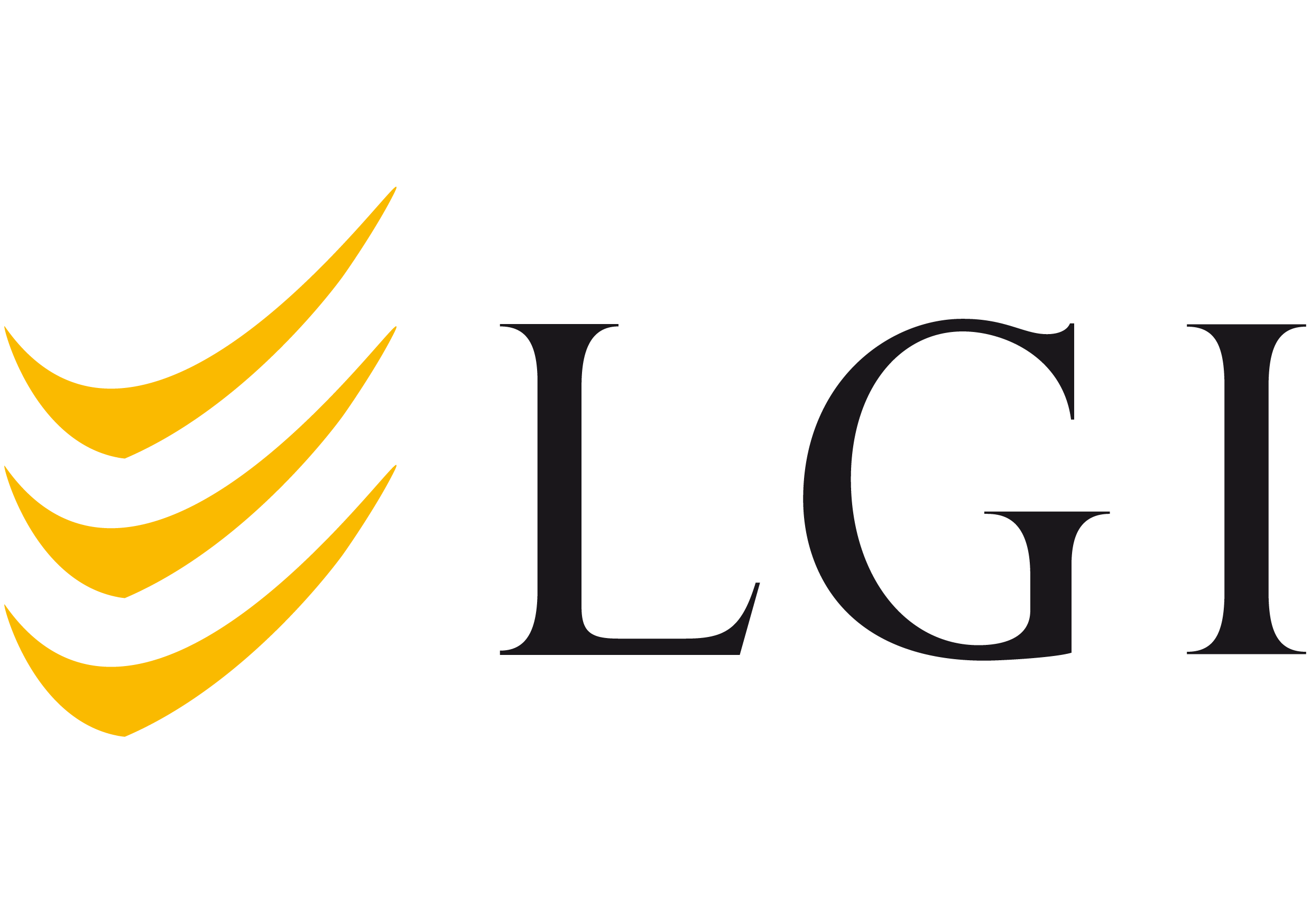 LGI Logistics Group International GmbH LGI Logistics Group International GmbH