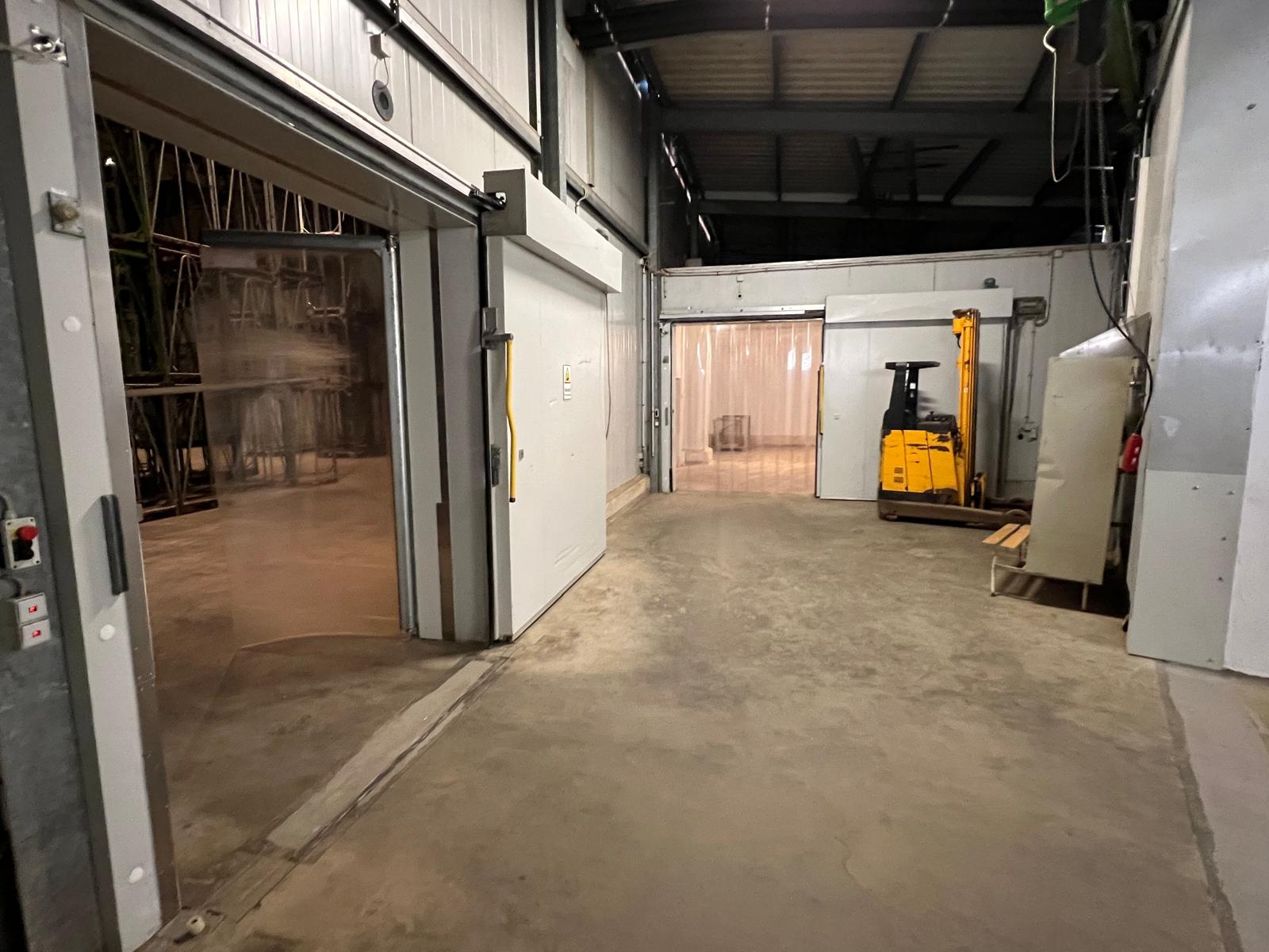 Tiefkühllager 700 qm - Picture 3 - EBERHARDT GRAU GMBH & CO KG