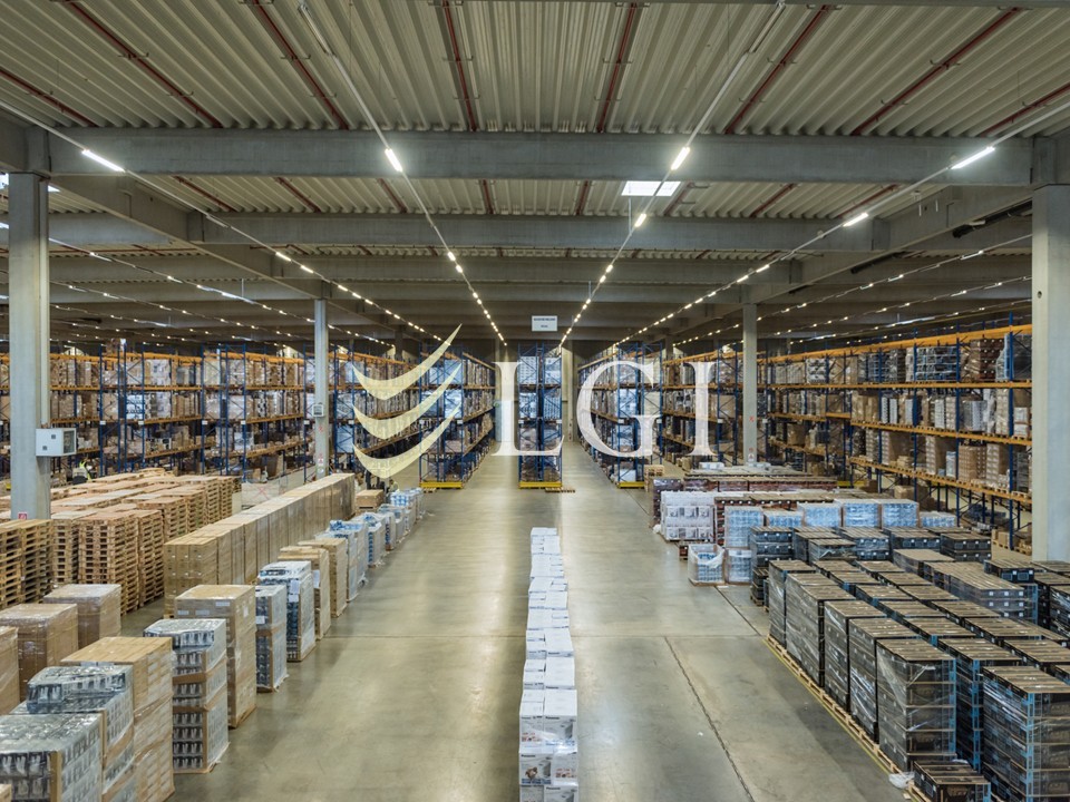 Lagerfläche in Erfurt | 10000 m² (teilbar ab 500 m²) - Bild 3 - LGI Logistics Group International GmbH