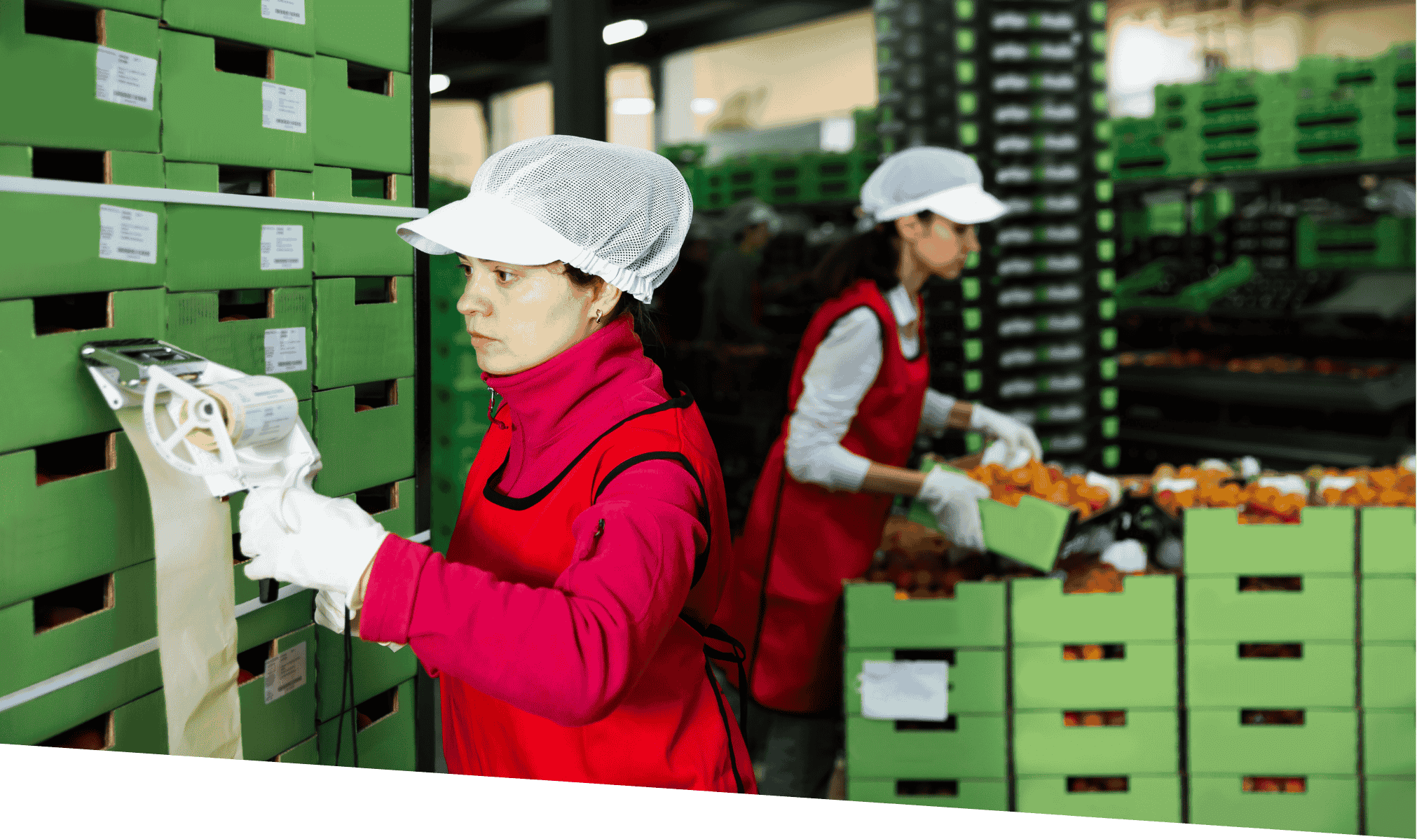 warehouse logistics food logistics, warehouse space contract logistics warehouse space food logistics, logistics sectors