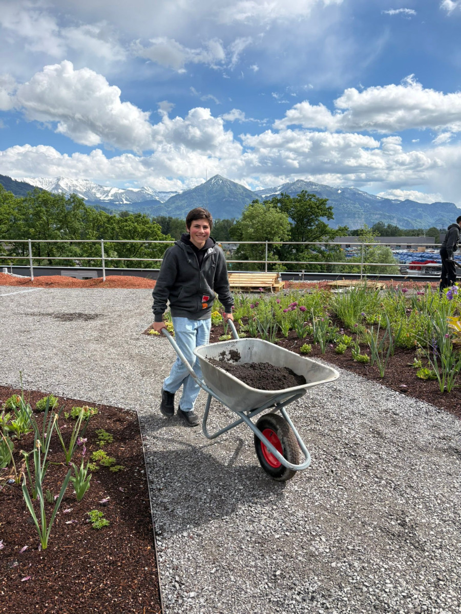 Gebrüder Weiss, Auf der Dachterrasse des Logistik- und IT-Centers Vorarlberg von Gebrüder Weiss gestalten Schülerinnen und Schüler der HTL Dornbirn gemeinsam mit ihren Projektpartnern einen außergewöhnlichen Lernort für Nachhaltigkeit, Produktentwicklung und Unternehmertum. Rund 50 Hochbeete und drei Bienenvölker machen die Fläche zu einem lebendigen Beispiel dafür, wie Theorie und Praxis erfolgreich zusammenwachsen. (Quelle: Gebrüder Weiss / HTL Dornbirn)