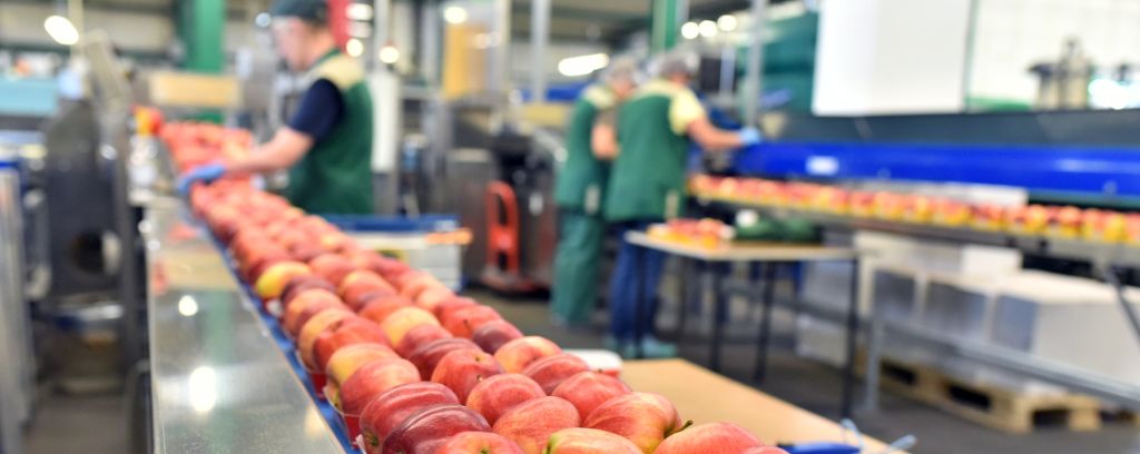 LAGERflaeche.de Materialflußoptimierung, Logistikberatung LAGERflaeche.de Materialflußoptimierung, Logistikberatung