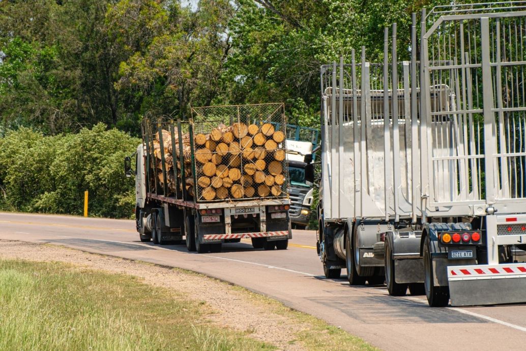 Holz, Holzlogistik, Holzlager, Lagerung Holz, Holzlagerung, getränke, logistik, lager, lagerflaeche.de, logistikbranchen
