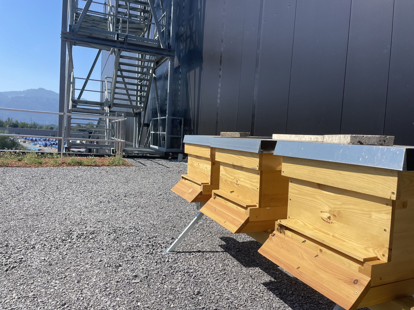Gebrüder Weiss, Die Bienenstöcke auf der Dachterrasse. (Quelle: Jeanette Vögel / HTL Dornbirn)