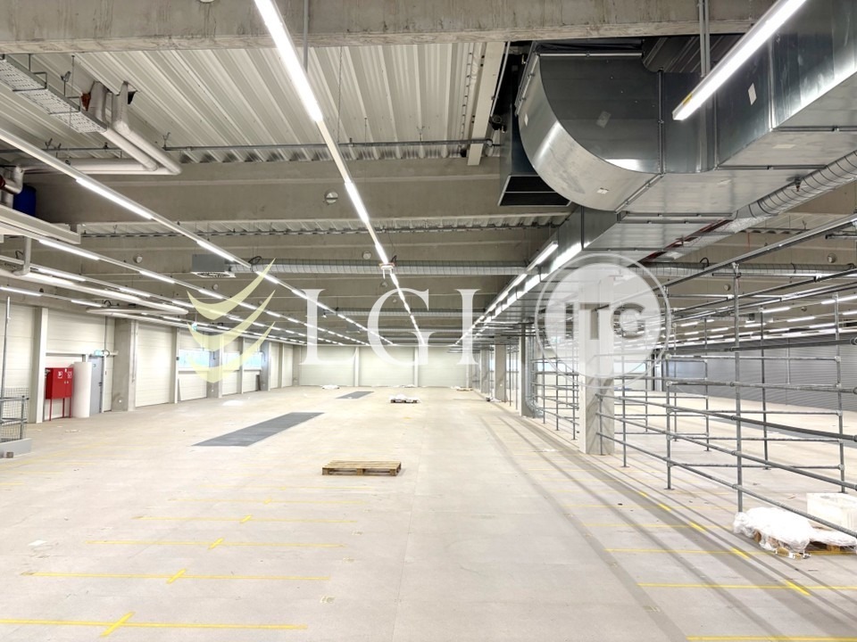 Lagerflächen im "3-Länder-Eck" | 8000 m² in Reichersberg (teilbar ab 500 m²) - Bild 3 - LGI Logistics Group International GmbH