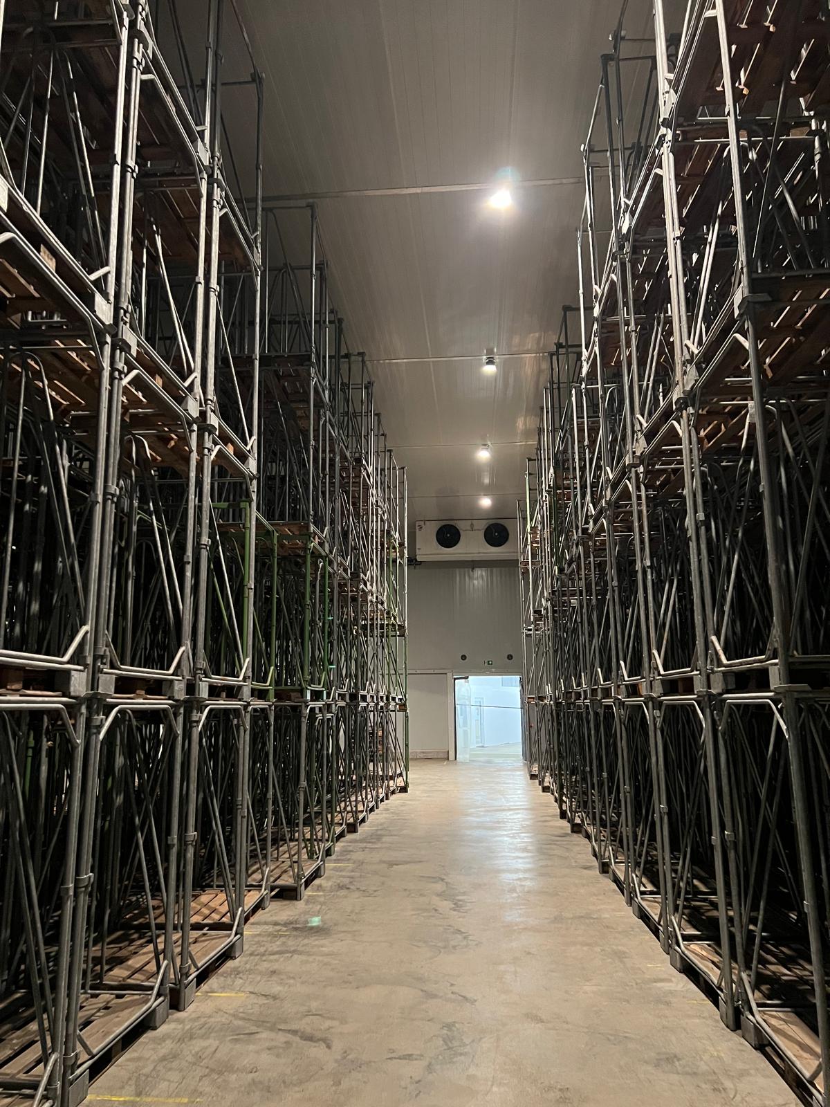 Tiefkühllager 700 qm - Picture 2 - EBERHARDT GRAU GMBH & CO KG