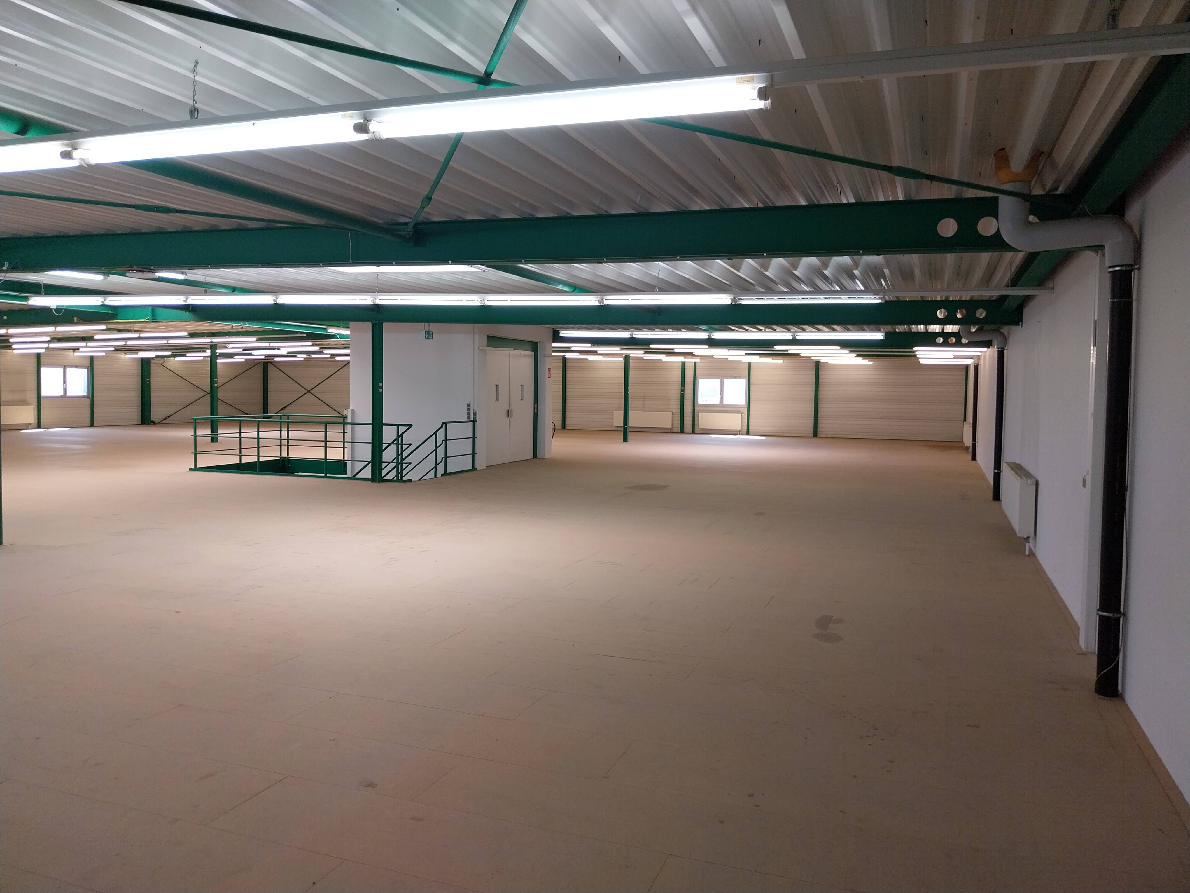 Moderne Lagerhalle, Bj.2004,2000m², 2- geschossig mit Aufzug, Rolltor und Schleuse für Be-Entladung - Bild 7 - Nic Grundstücksverwaltung GmbH&Co.KG