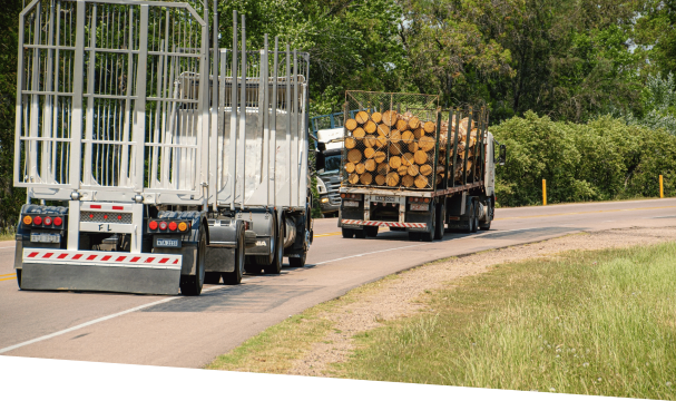Holz, Holzlogistik, Holzlager, Lagerung Holz, Holzlagerung