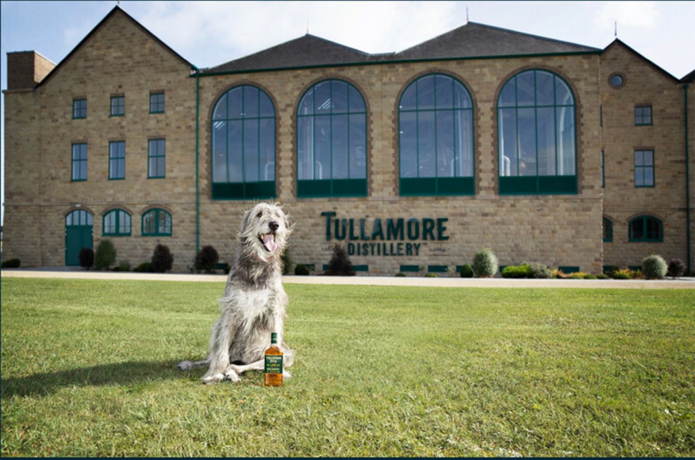 Fiege-Gruppe, Fiege ist neuer Logistikpartner des Spirituosenunternehmens William Grant & Sons in Deutschland, zu dessen Portfolio zahlreiche Premium-Marken wie Tullamore DEW gehören. (Foto: William Grant & Sons)