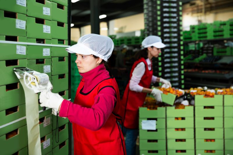 Lagerlogistik Lebensmittlelogistik Lagerfläche Lebensmittlelogistik, Kontraktlogistik Lebensmittlelogistik, Warehouse Lebensmittlelogistik, logistikbranchen