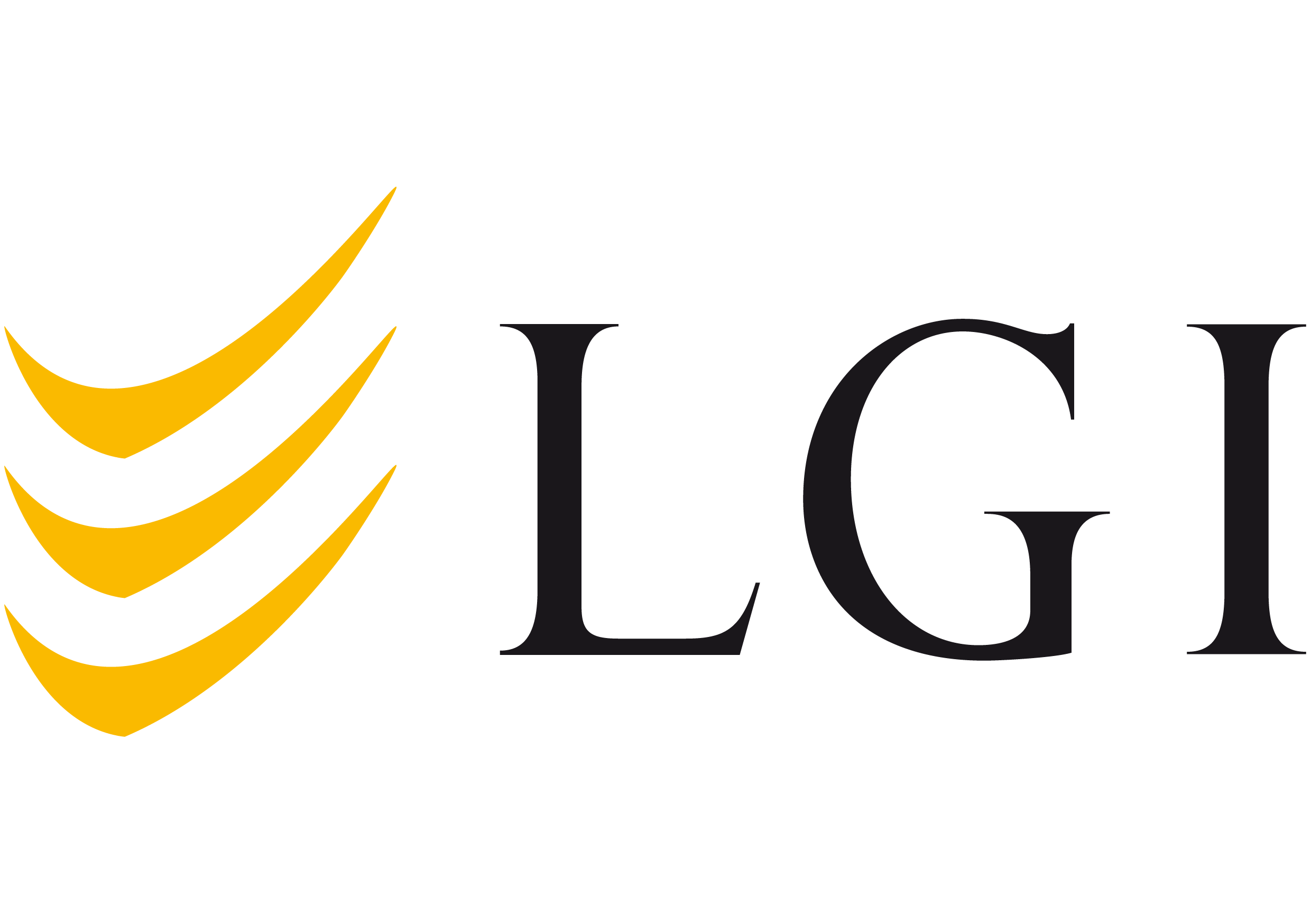 LGI Logistics Group International GmbH