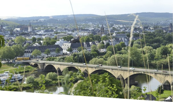 Lagerlogistik in der Region Rhein-Mosel, Logistik in der Region Rhein-Mosel