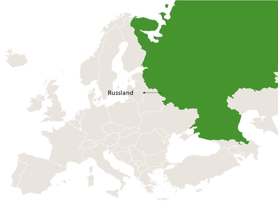LAGERflaeche.de in Russland